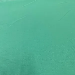 Mint Green Solid Lycra Dyed Fabric